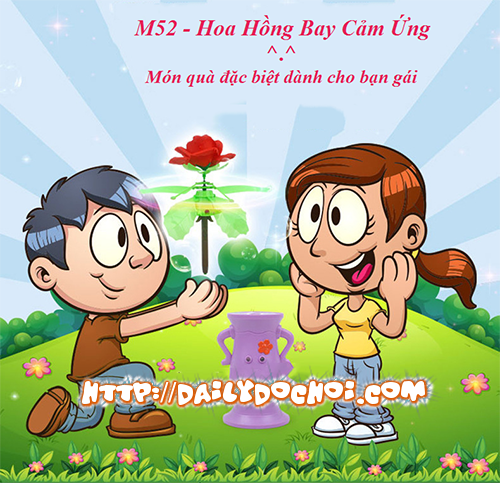 M52 Hoa Hồng Bay Cảm Ứng